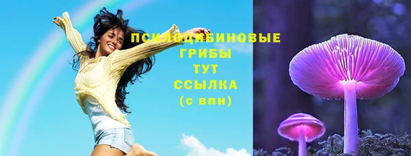 сатива Алексеевка