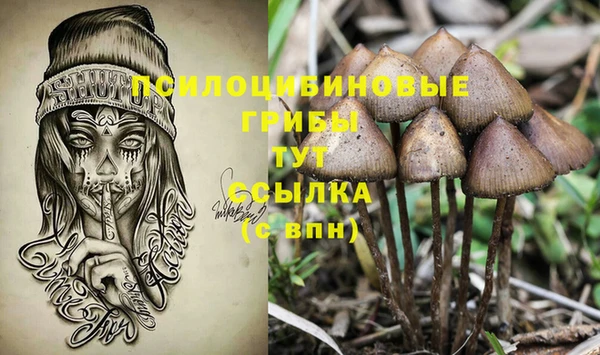 сатива Алексеевка