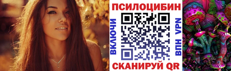 Псилоцибиновые грибы прущие грибы  kraken сайт  Асино  где найти  
